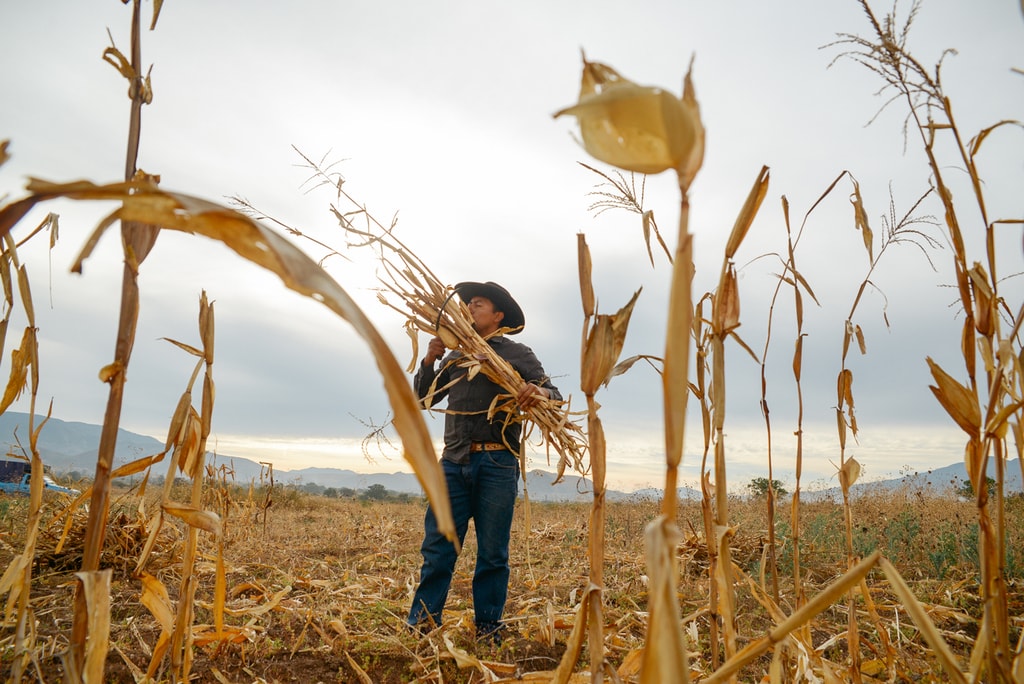 harvest edit 2018 (122 of 142)