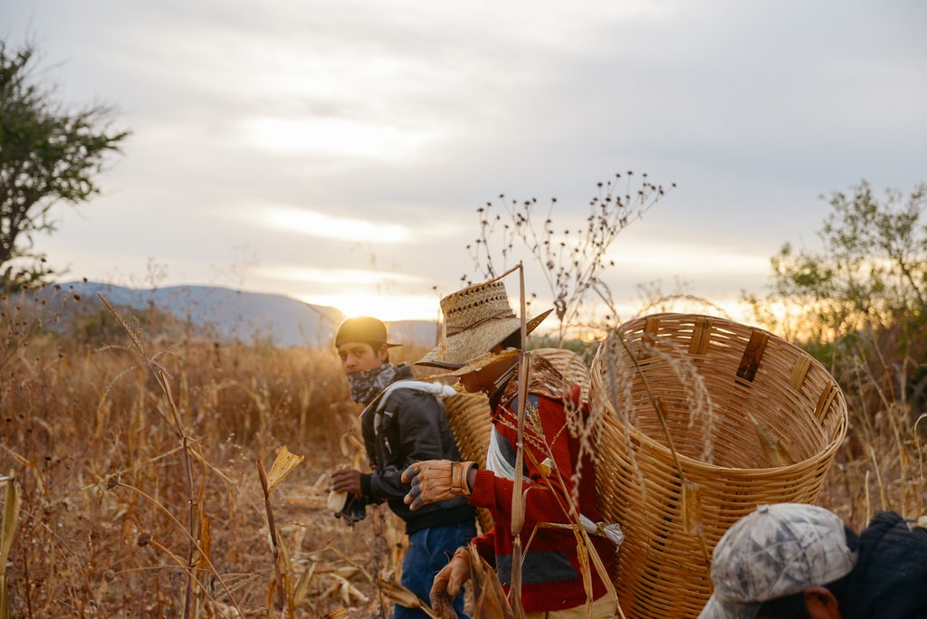 harvest edit 2018 (42 of 142)