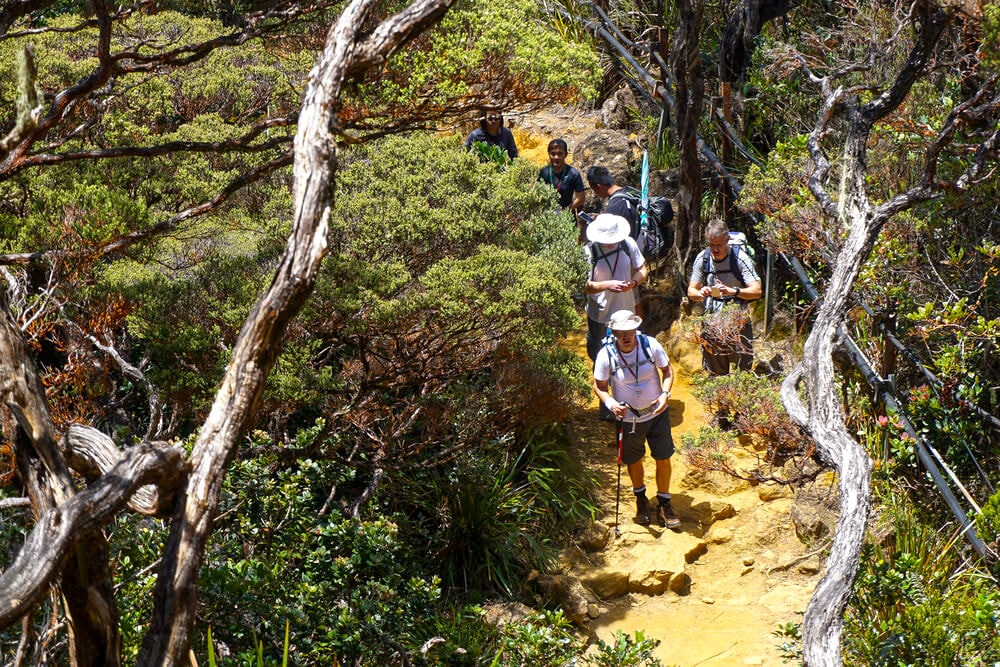 Hikers going up Mt Kinabalu