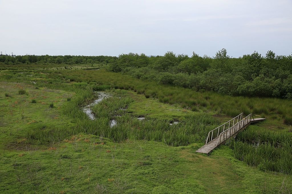 Kobuleti Nature Reserve