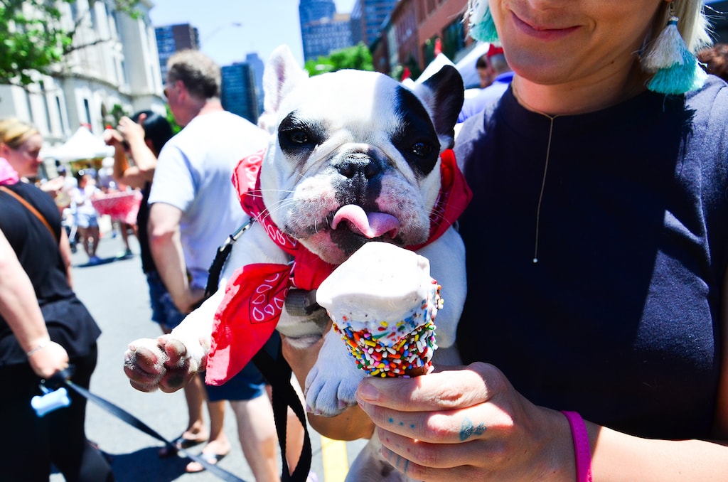 DogFriendly Restaurants in Hoboken, New Jersey