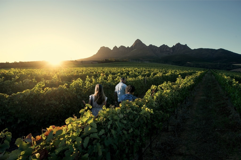 Cape Town's Route 62 Is the World's Longest Wine Route
