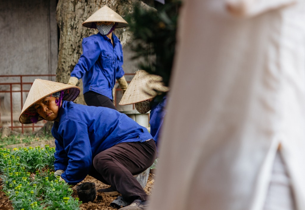 SCTP0096-Abasnejad-Hanoi 2-00233