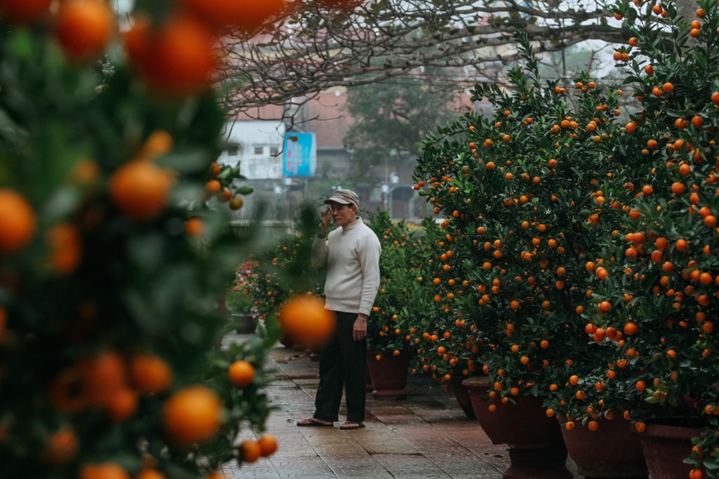 Vu Pham Van / © Culture Trip