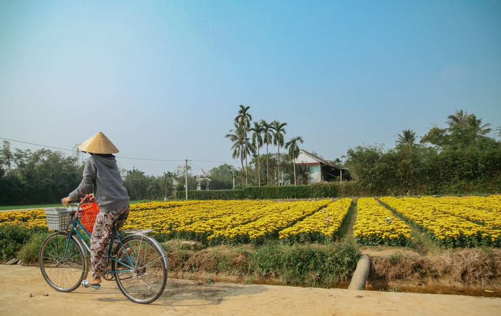 SCTP0124-PHAM-VIETNAM-HUE-TET-2549