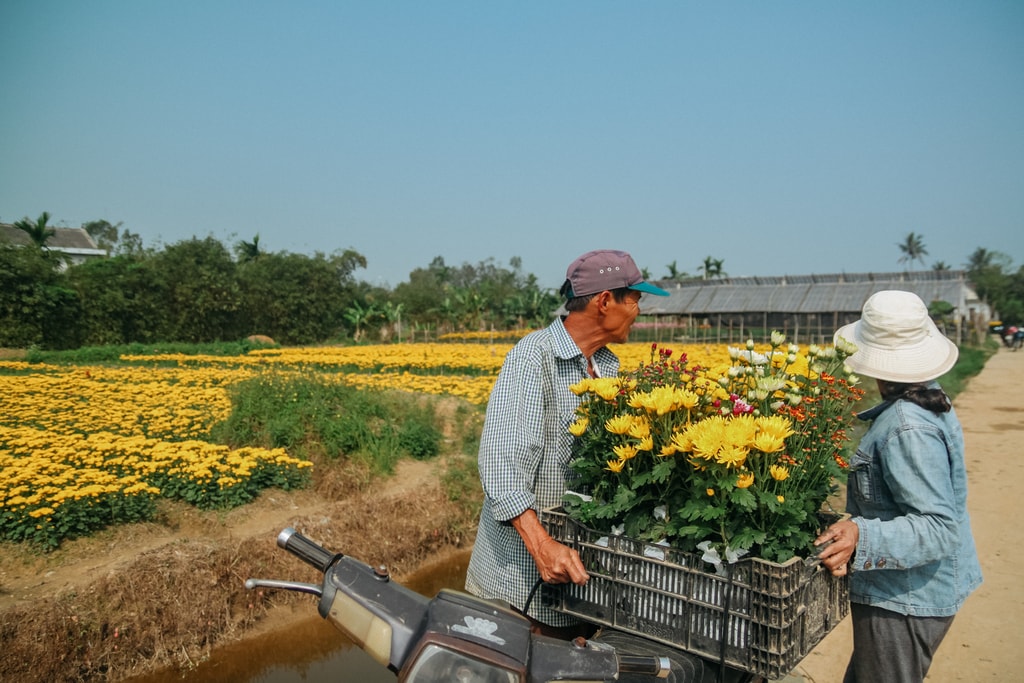 SCTP0124-PHAM-VIETNAM-HUE-TET-2553