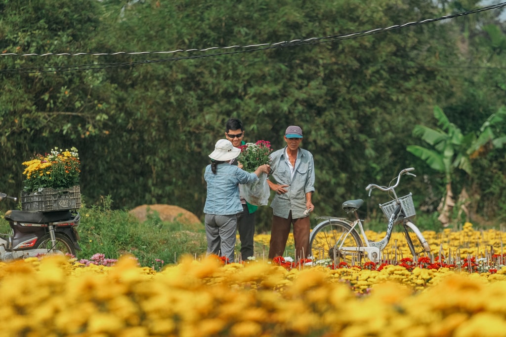 SCTP0124-PHAM-VIETNAM-HUE-TET-2571_2