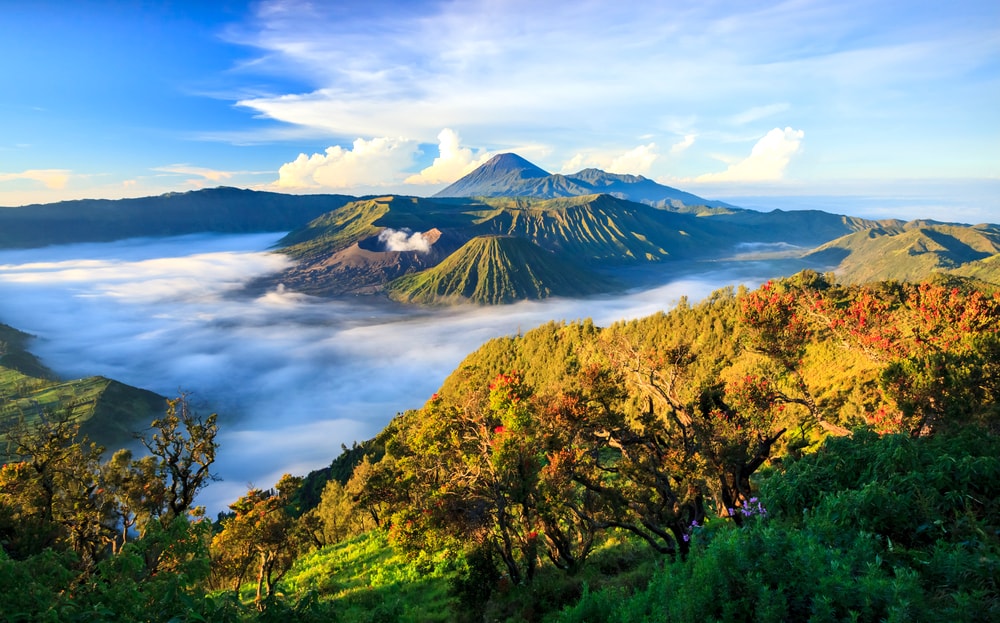shutterstock_154213739