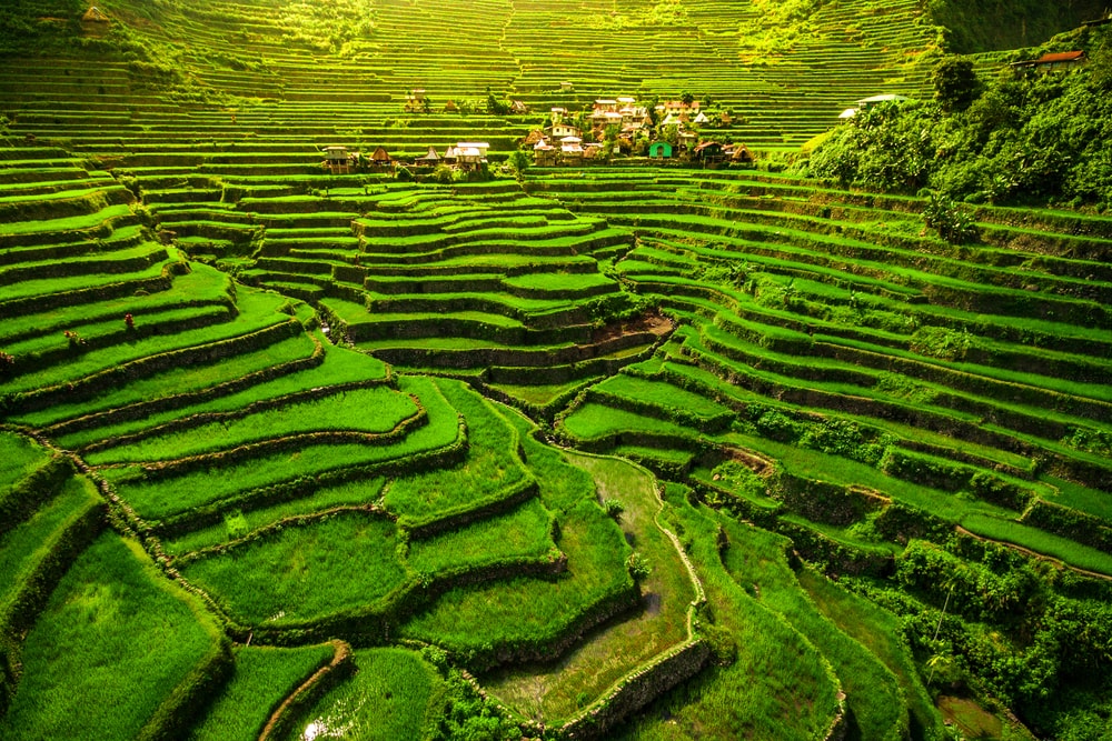 The Breathtaking Ifugao Rice Terraces Of The Philippine Cordilleras