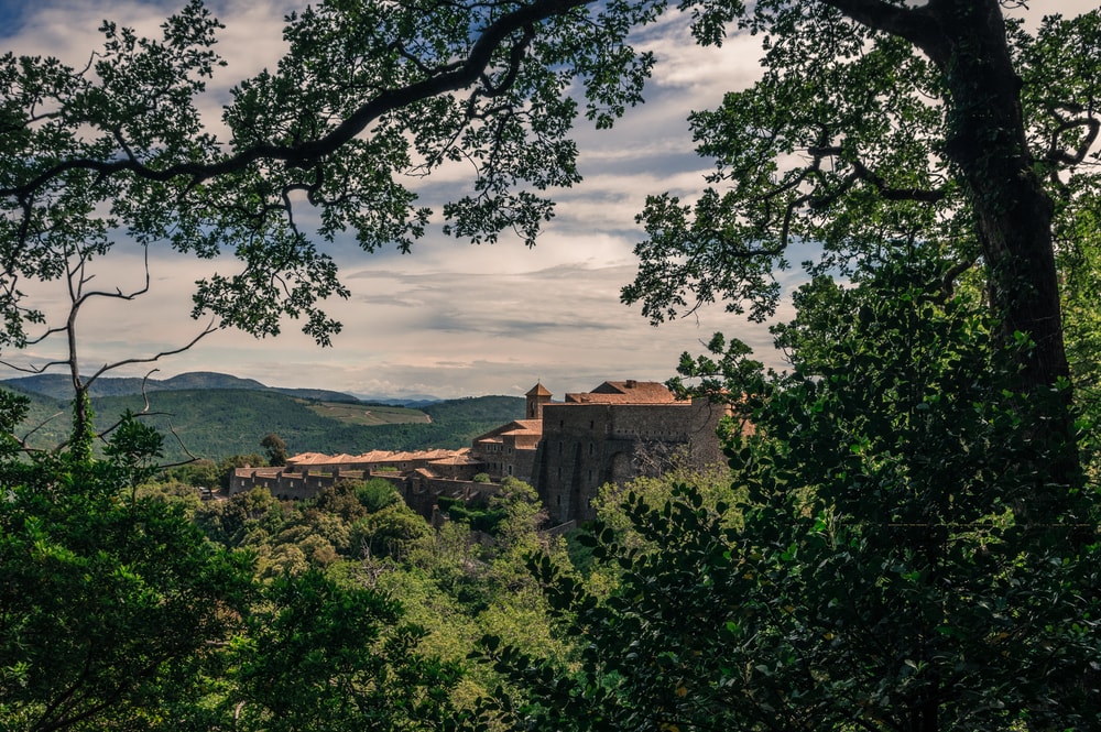 shutterstock_686831188