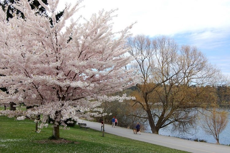 Green Lake Park, Seattle