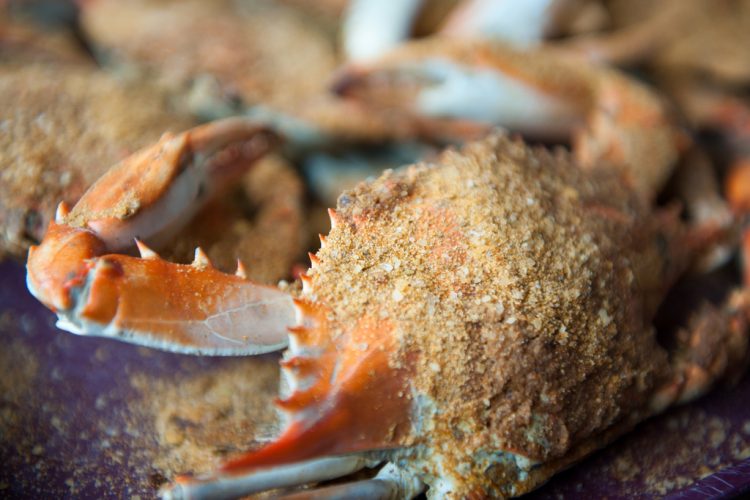 Chesapeake blue crab