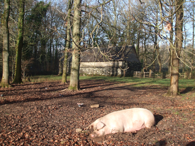 St Fagans