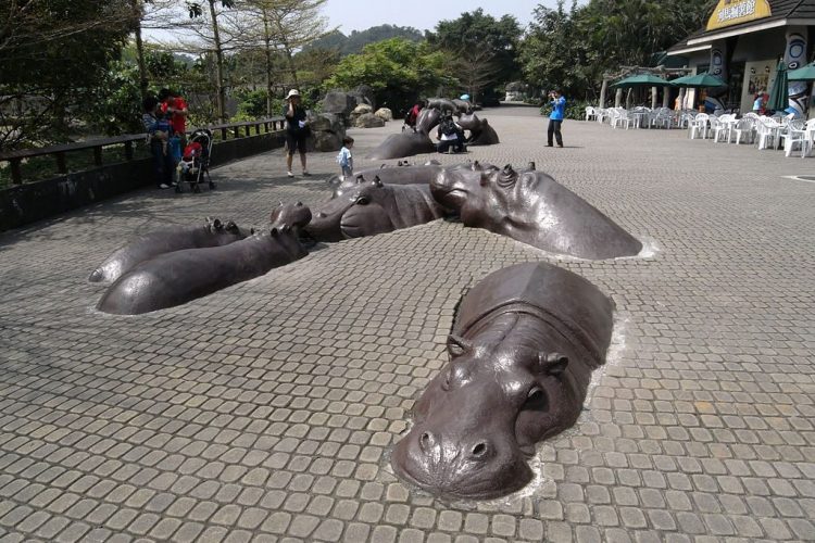 Hippo public art at Taipei Zoo