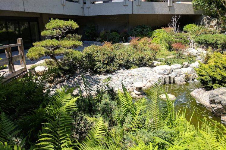 James Irvine Japanese Garden