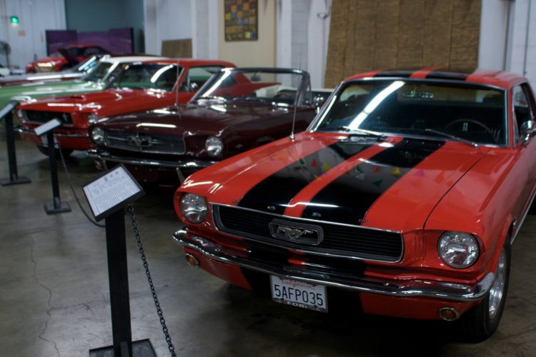 Mustangs