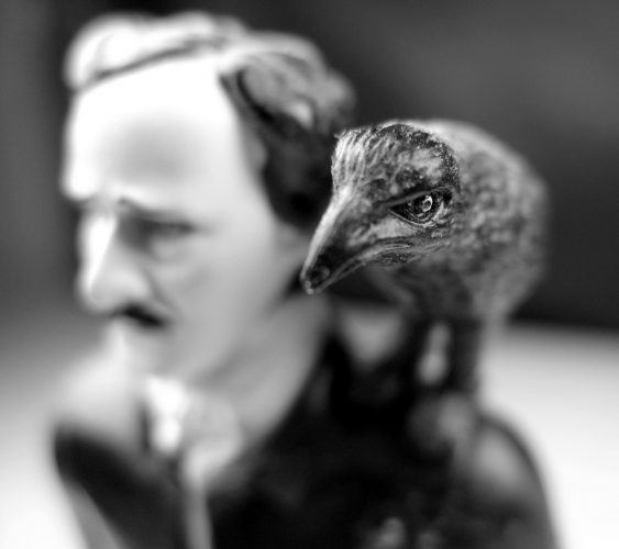 The raven