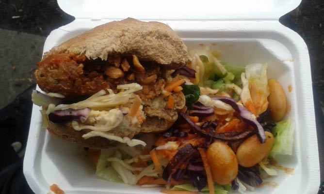 Susie's yummy vegeburger with a salad