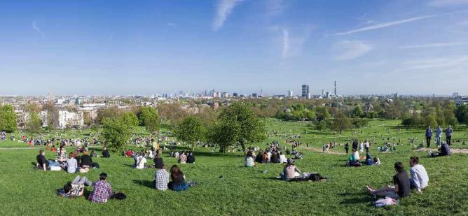 The Top Of Primrose Hill