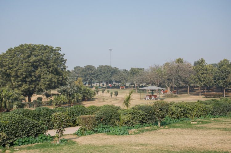 Palak Mittal