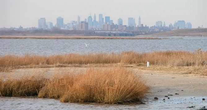 Jamaica Bay