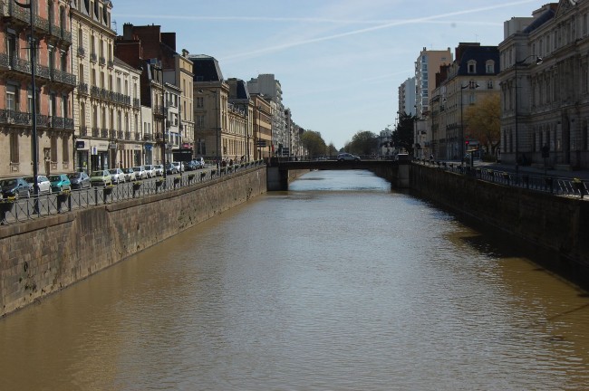 Hibou Grand Duc, Rennes