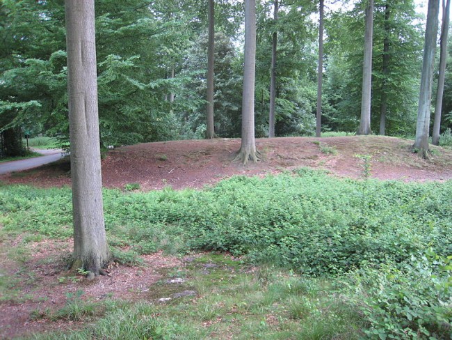 Sonian Forest