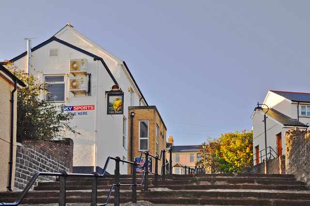 Steps to The Pilot, Penarth