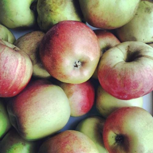 Apples