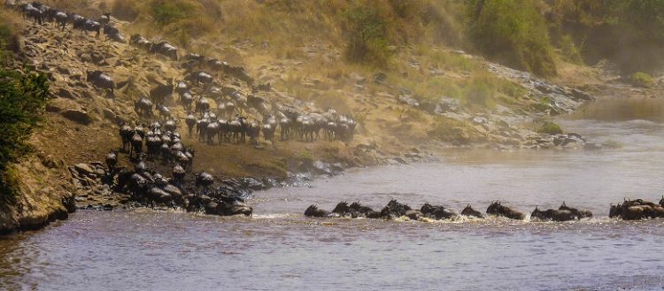 Serengeti National Park