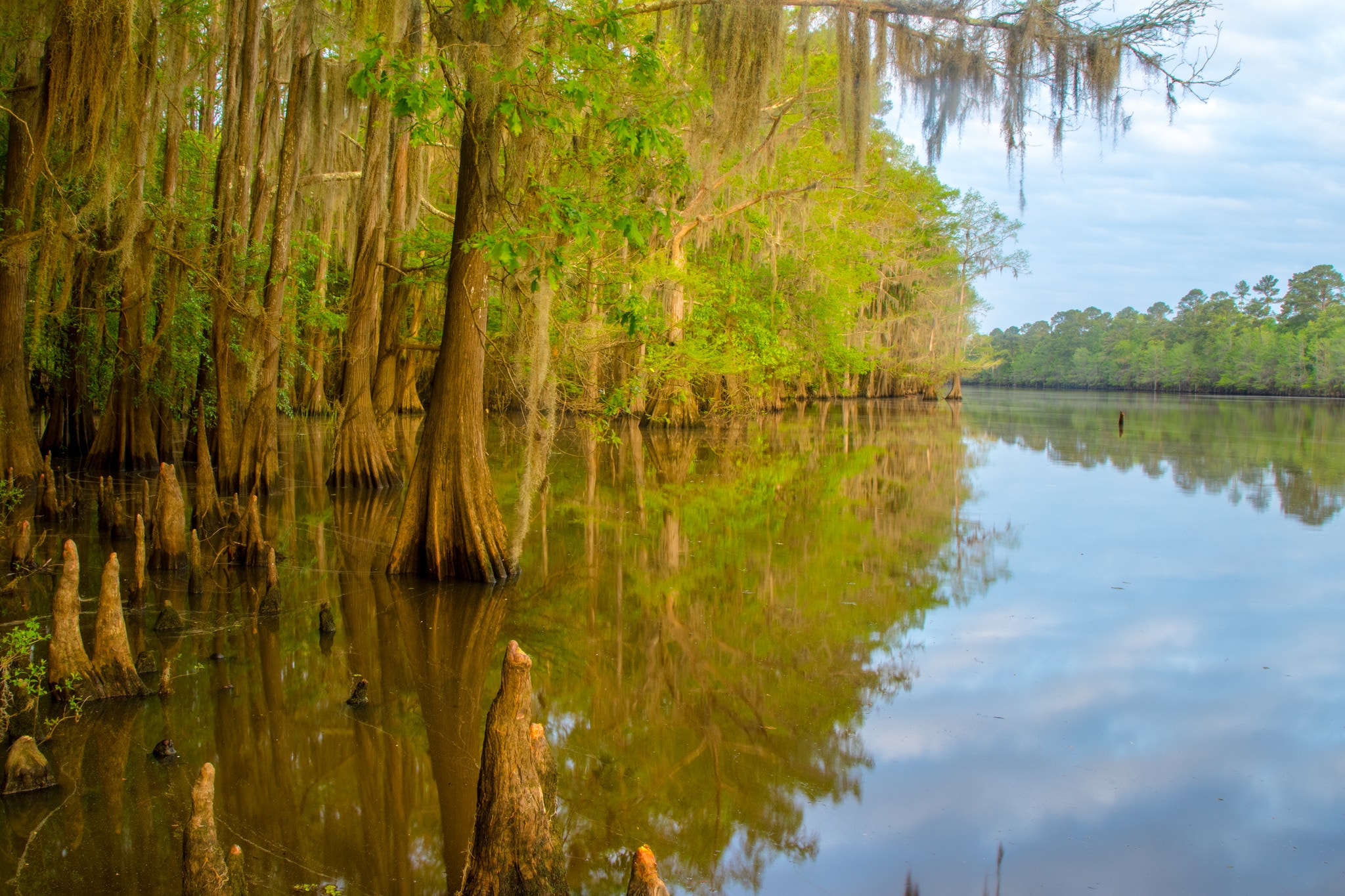Caddo Lake