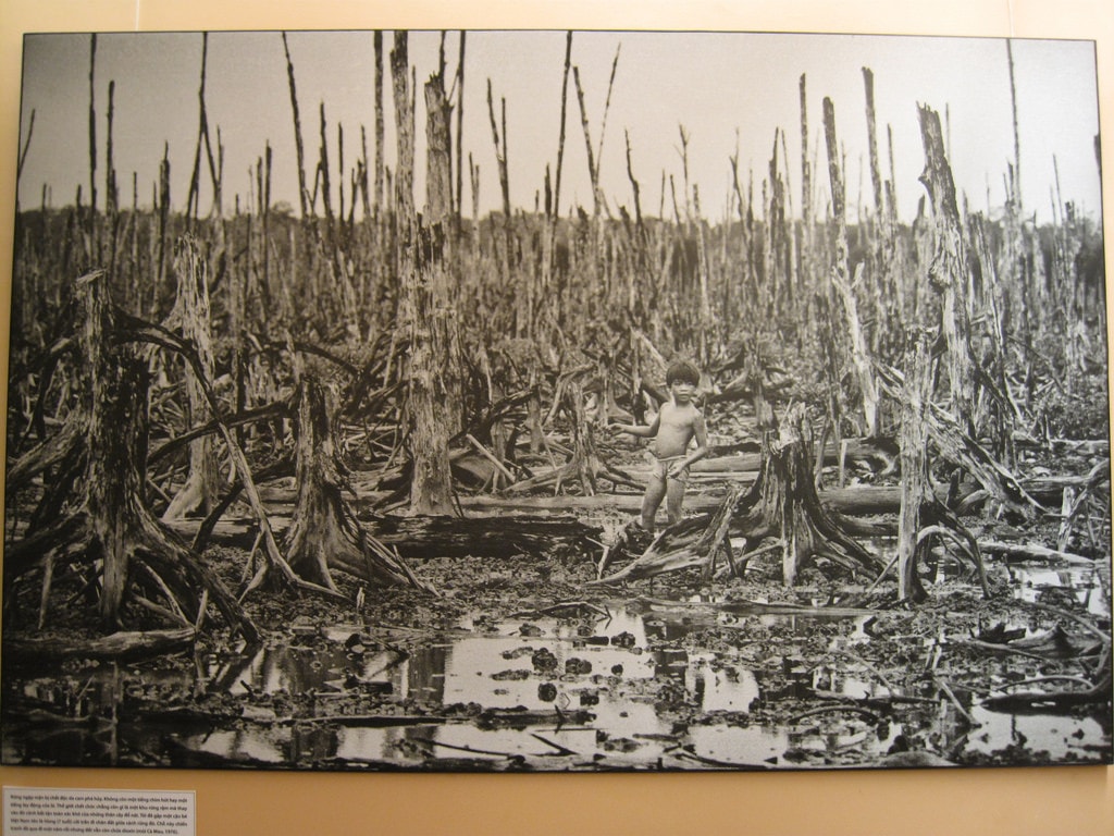 Ho-Chi-Minh-City: War Remnants museum of HCMC, consequences of agent orange