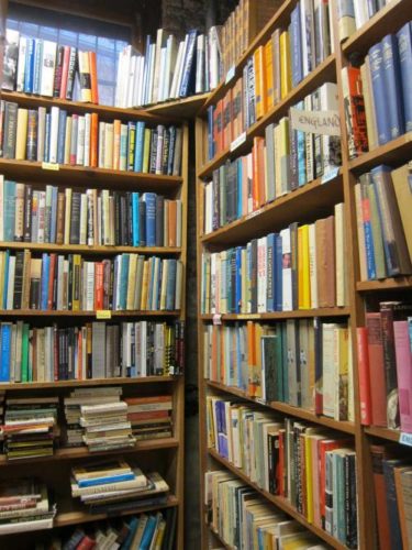 A book lover's paradise
