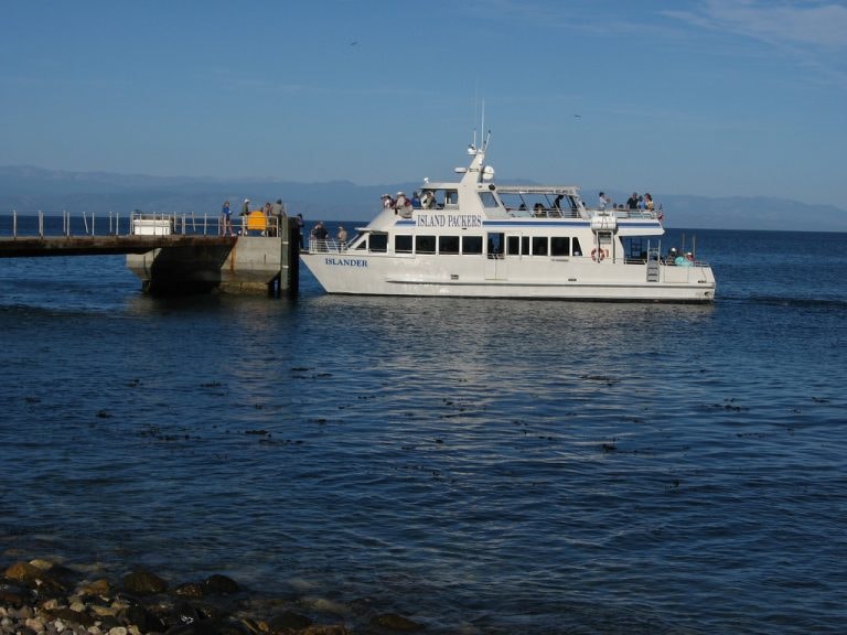 5 Unique Boat Tours To Take In Los Angeles 5 Unique Boat Tours To Take In Los Angeles