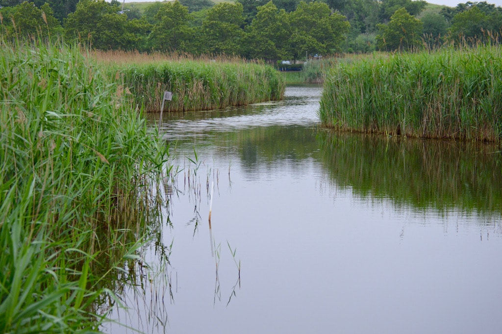 Why You Should Explore the Meadowlands in New Jersey