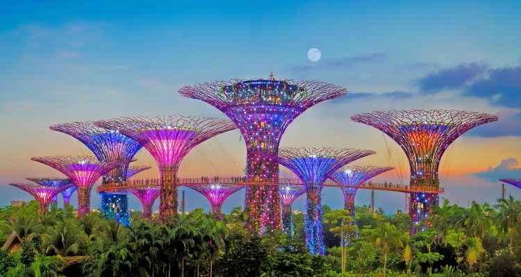 The Supertree Grove at Gardens by the Bay, Singapore.