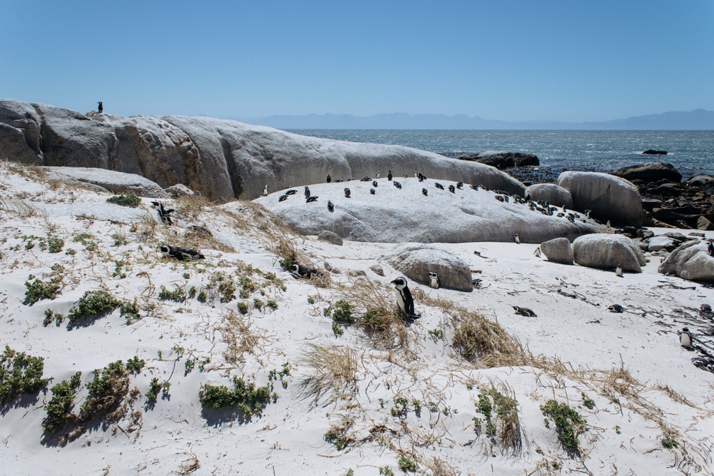 Simon's Town-Cape Town-South Africa