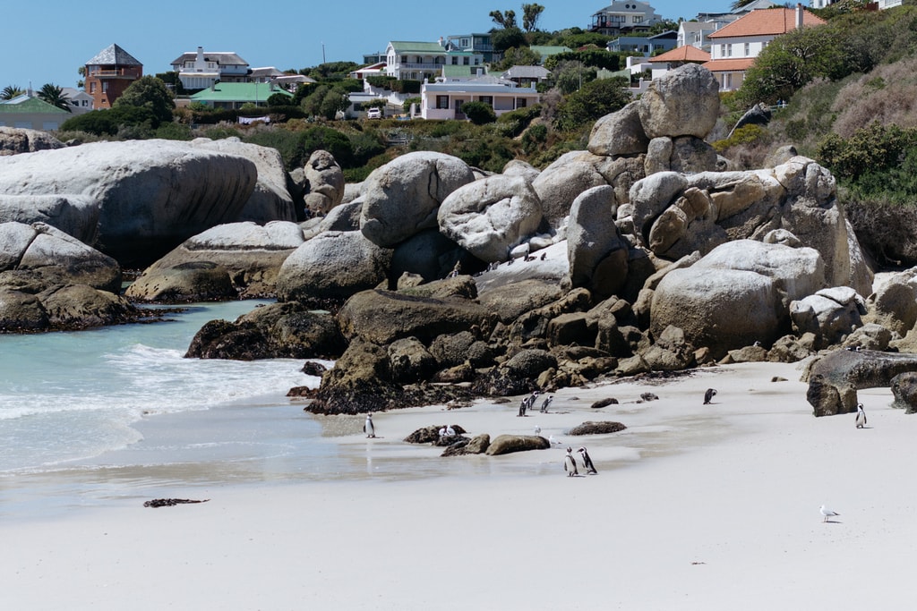 Simon's Town-Cape Town-South Africa