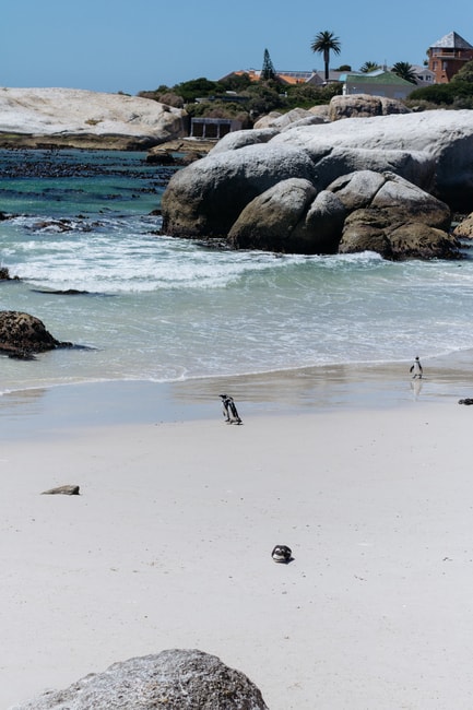 Simon's Town-Cape Town-South Africa