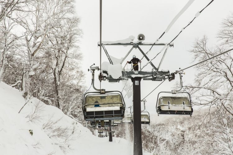 Snow covered rime trees, Rusutsu, Hokkaido, Japan