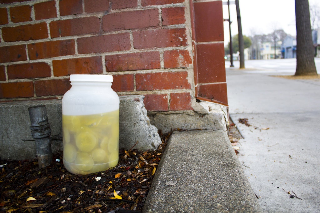 How a Pickle Jar on the Side of the Road in Missouri Became a Symbol of