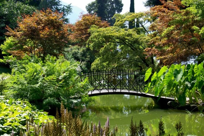 botanic-gardens-como--650x435
