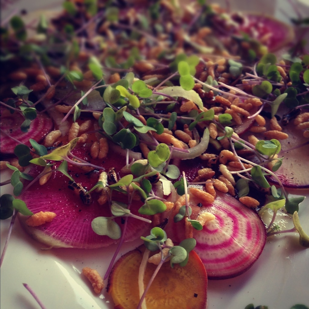 The Best Restaurants for Vegetarians in Lansing, Michigan