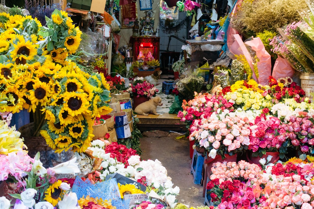 HOTHIKY FLOWER MARKET-DISTRICT 10-SAIGON-VIETNAM
