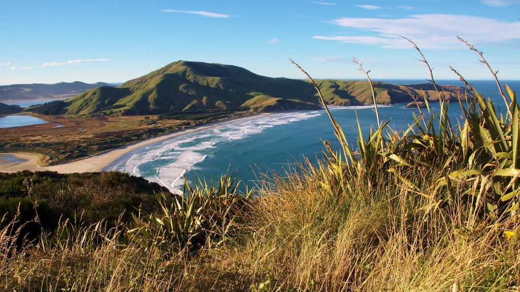 Top 10 Things To See and Do in Otago Peninsula, New Zealand