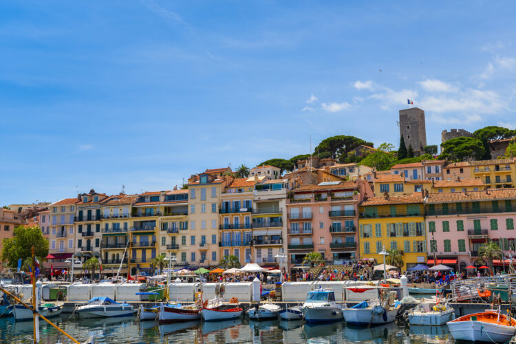 The Old Port, Cannes