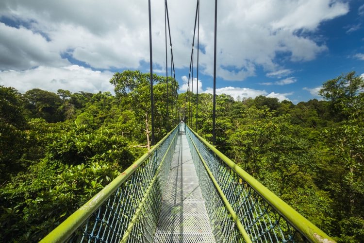 TreeTop Walk, the highlight of several long hiking routes in MacRitchie Reservoir Park, Singapore