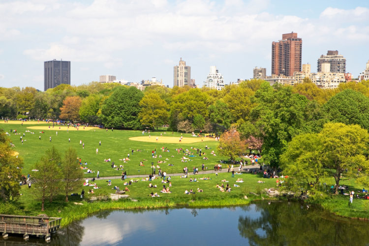 Central Park, New York City.