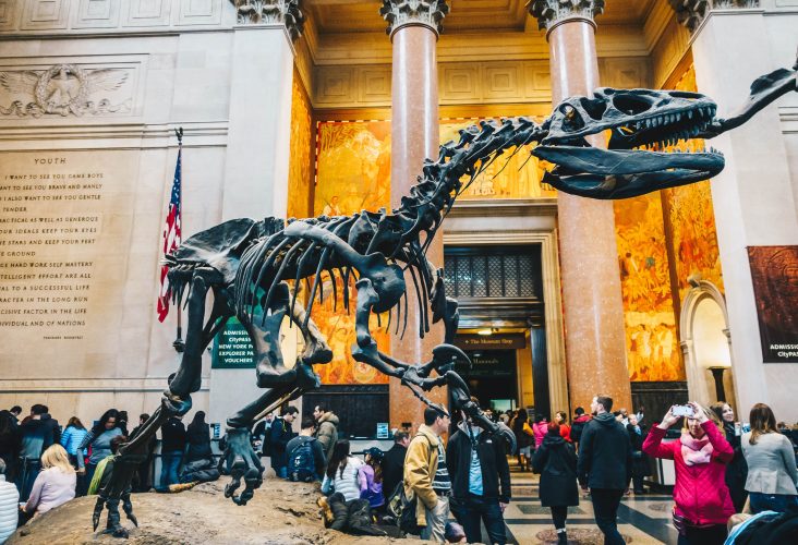 Interior of The American Museum of Natural History (abbreviated as AMNH), located on the Upper West Side of Manhattan, is one of the largest museums in the world.