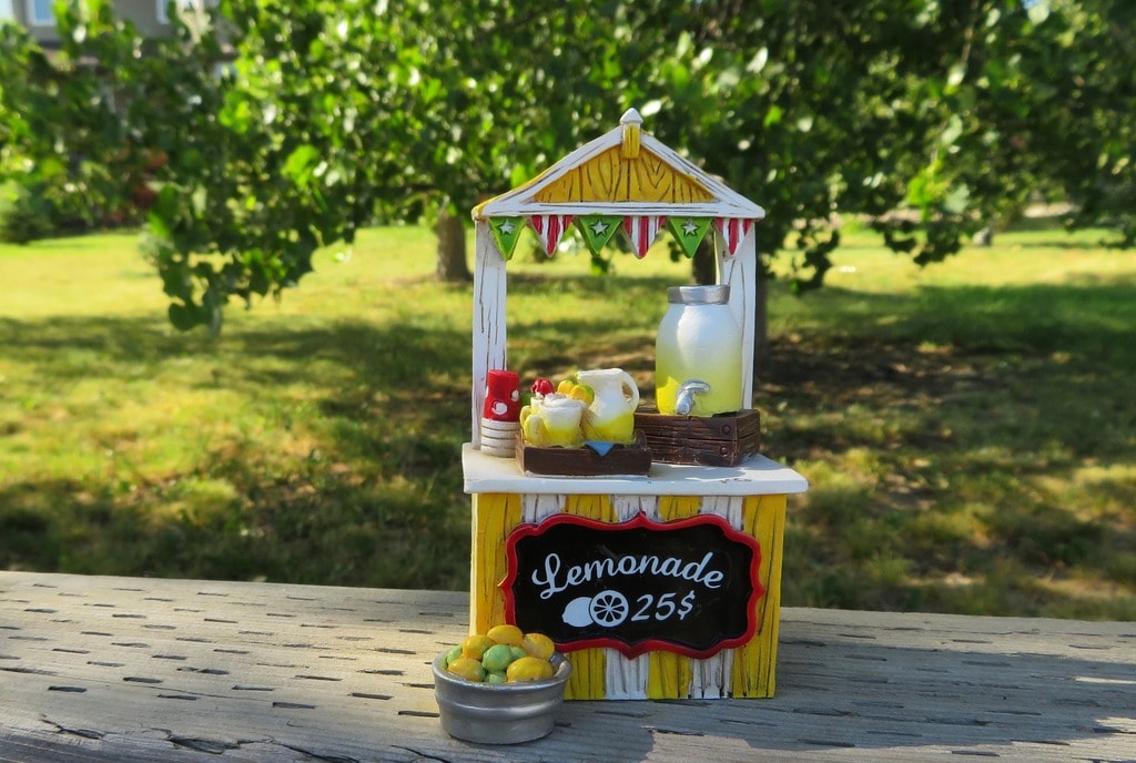 This 6YearOld Raised 13,000 for Charity By Opening a Lemonade Stand